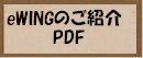 eWINĜЉPDF
