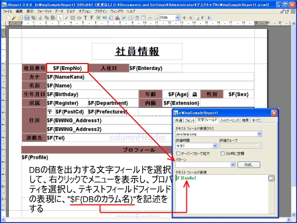 iReportの設定